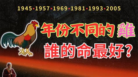 屬雞的顏色|2024屬雞幾歲、2024屬雞運勢、屬雞幸運色